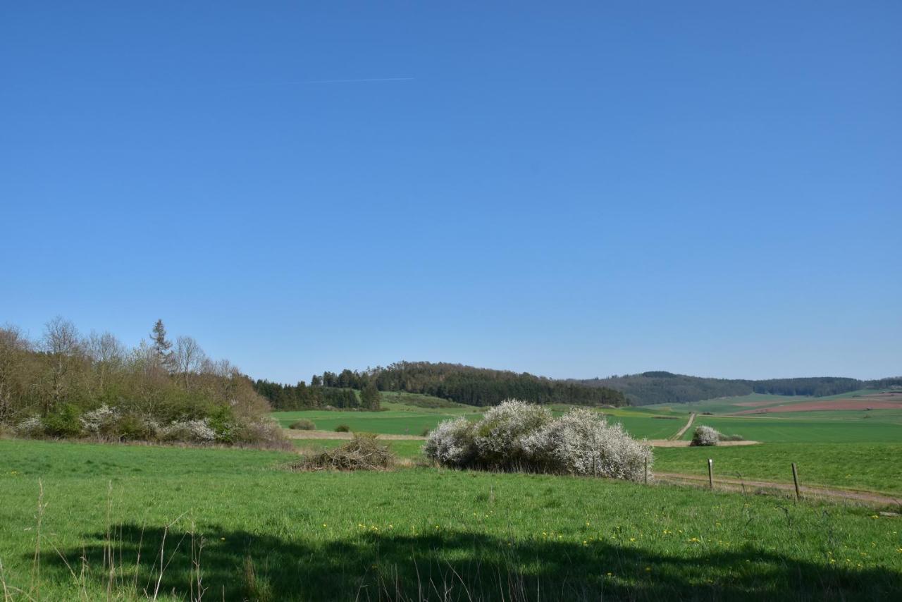 Ferienhaus Giebelei Medebach Dış mekan fotoğraf